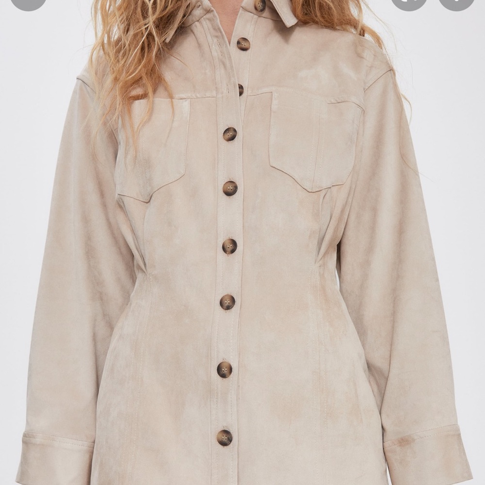 Zara suede dress